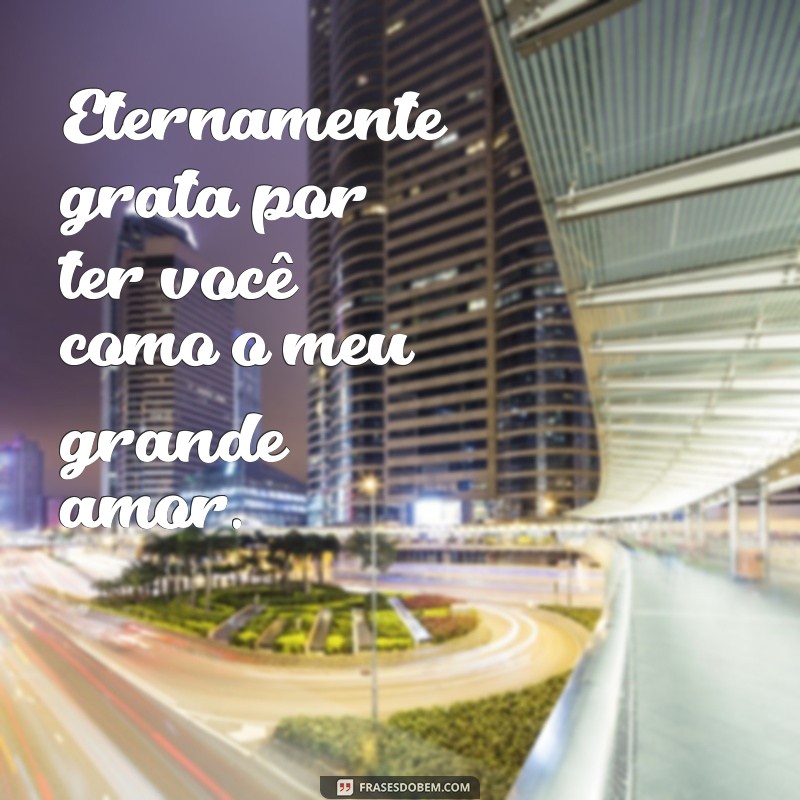 Descubra as melhores frases de amor para conquistar o coração da sua pessoa amada 