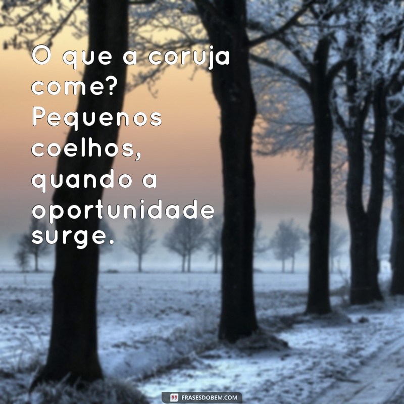 Descubra a Alimentação das Corujas: O Que Essas Aves Noturnas Realmente Comem? 