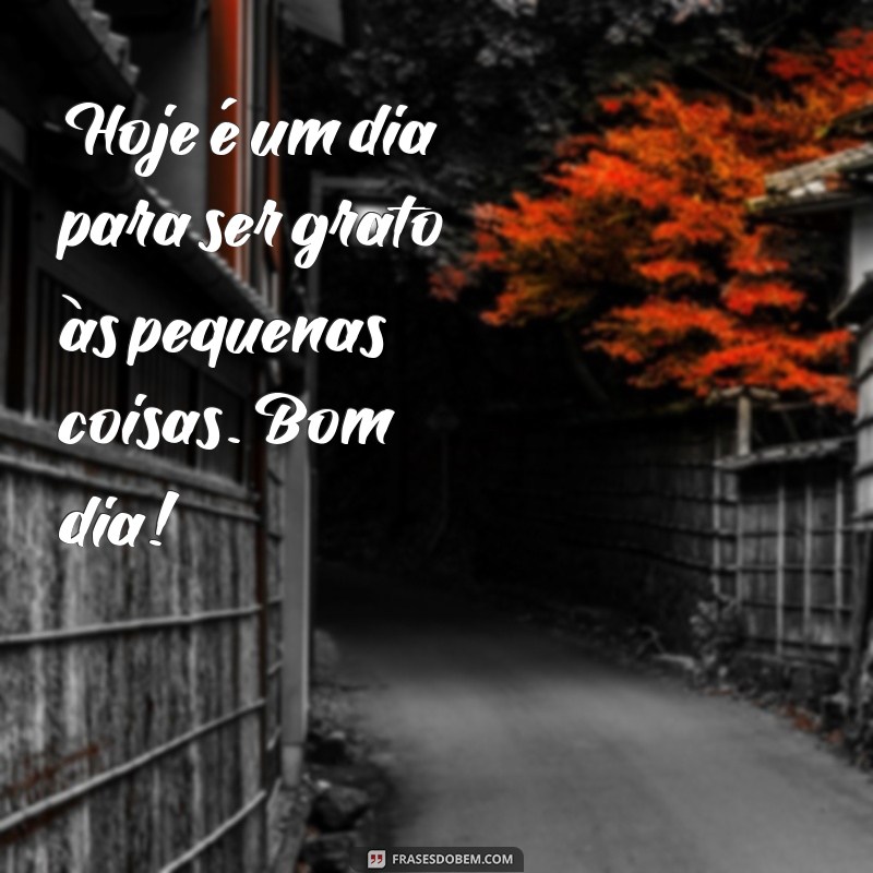 Frases Inspiradoras para Começar o Dia com Energia Positiva 