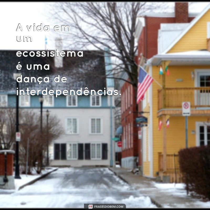 Frases Inspiradoras sobre a Natureza: Conecte-se com o Mundo Natural 