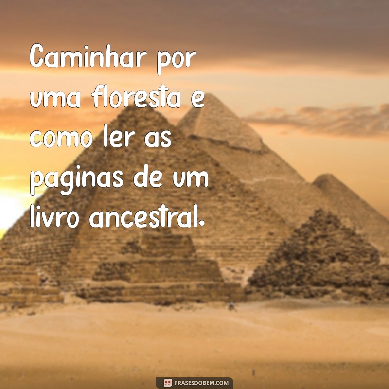 Frases Inspiradoras sobre a Natureza: Conecte-se com o Mundo Natural 