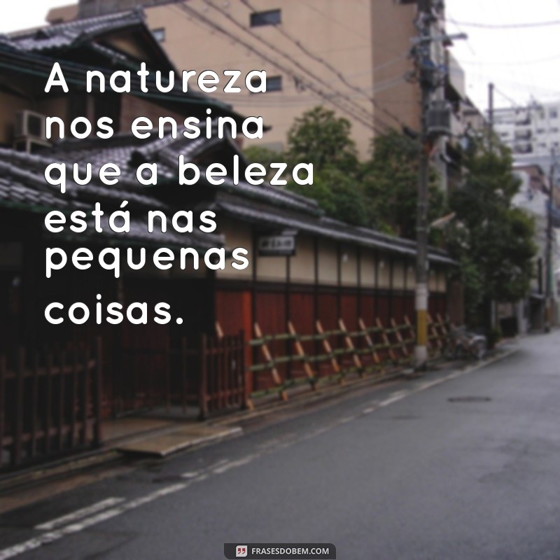 frases sobre a natureza A natureza nos ensina que a beleza está nas pequenas coisas.