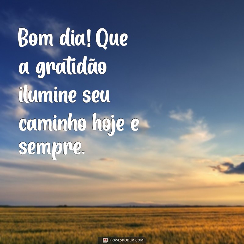 mensagem bom dia gratidao Bom dia! Que a gratidão ilumine seu caminho hoje e sempre.