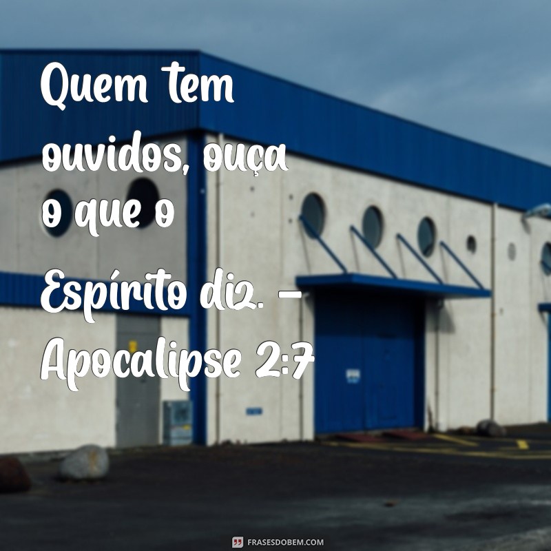 Os Melhores Versos Bíblicos para Inspirar sua Fé e Reflexão 