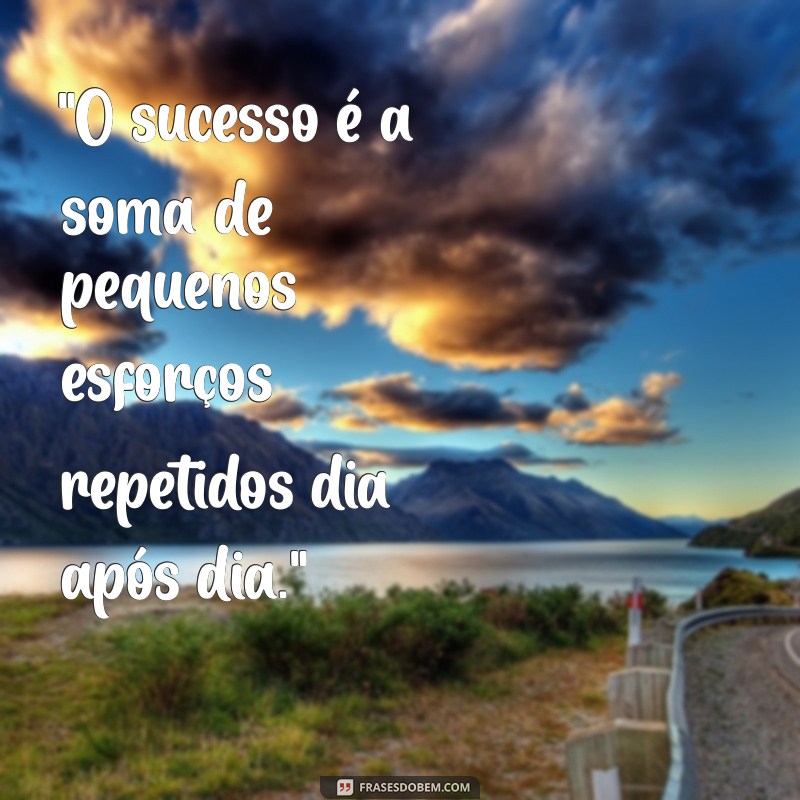 frases motivacional direito 