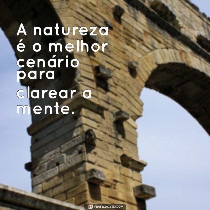 Frases Inspiradoras para Acompanhar Suas Caminhadas: Motivação a Cada Passo 