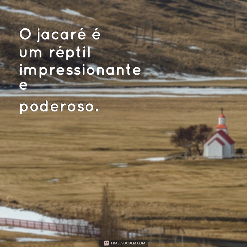 frases de jacaré O jacaré é um réptil impressionante e poderoso.