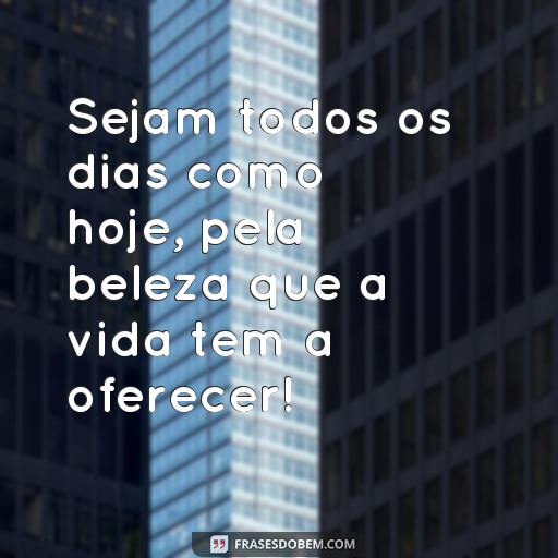  Sejam todos os dias como hoje, pela beleza que a vida tem a oferecer!