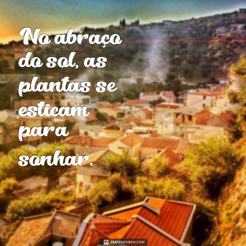 Frases Inspiradoras para Celebrar a Beleza do Jardim 