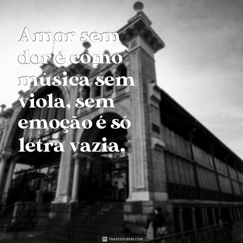 Descubra as melhores frases do modão de viola e se emocione com a cultura sertaneja 