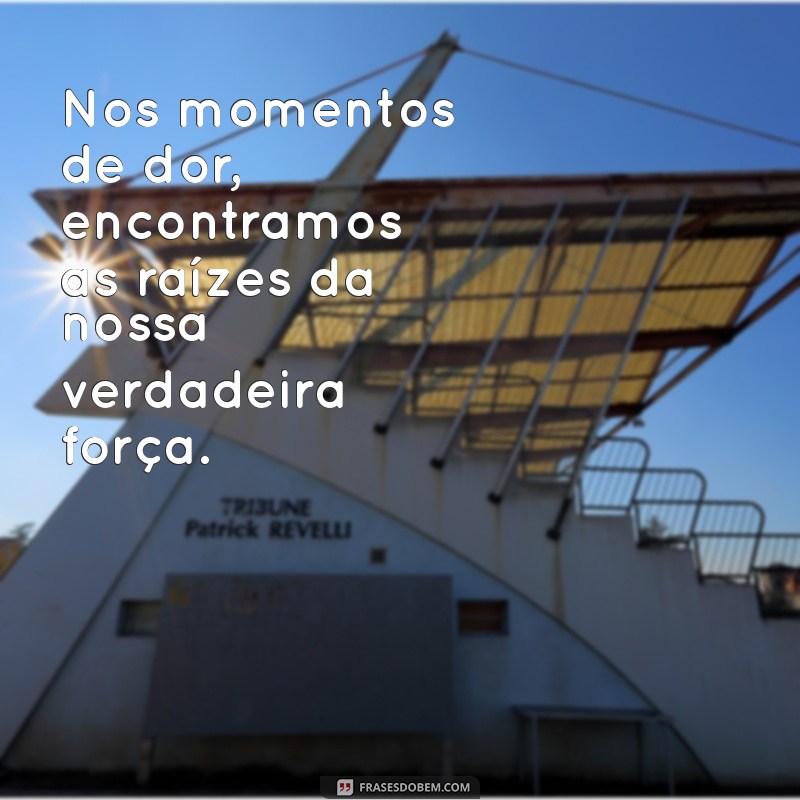 Frases Emotivas: Toques de Sentimento para Inspirar Seu Dia 