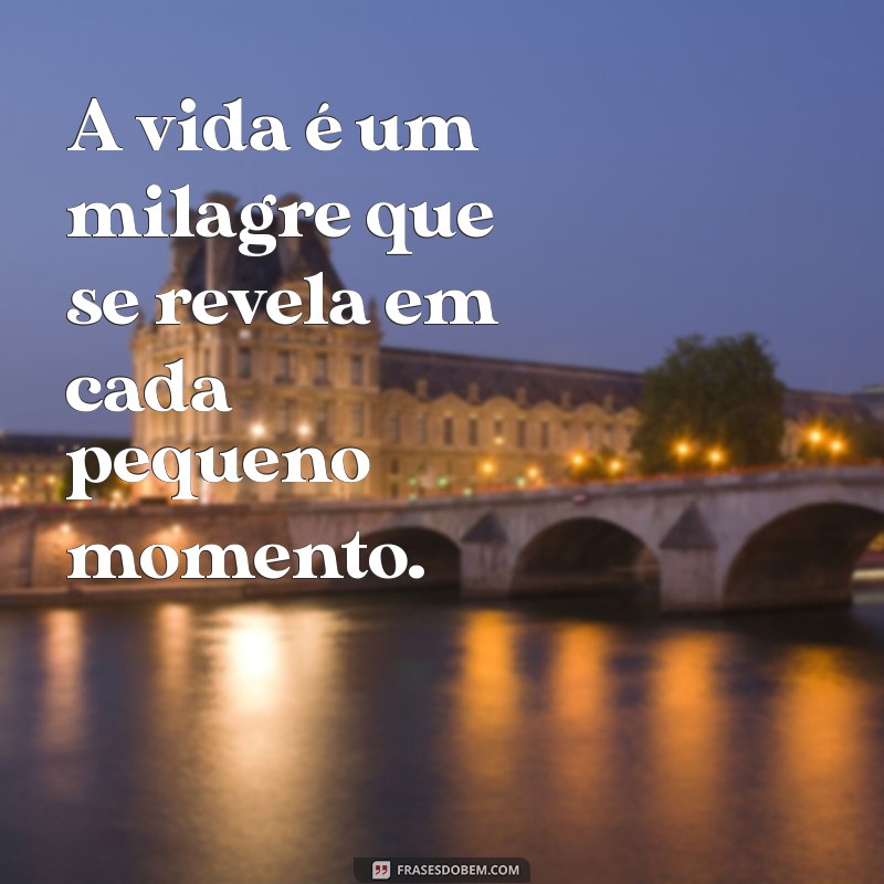 frases de milagre da vida A vida é um milagre que se revela em cada pequeno momento.