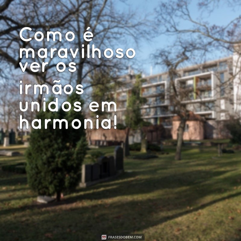 como é bom e agradável que os irmãos vivam em união Como é maravilhoso ver os irmãos unidos em harmonia!