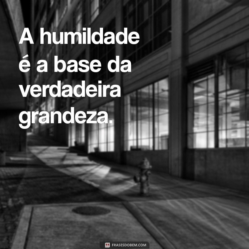 Descubra as Inspirações de Pitágoras: Frases que Transformam e Inspiram 