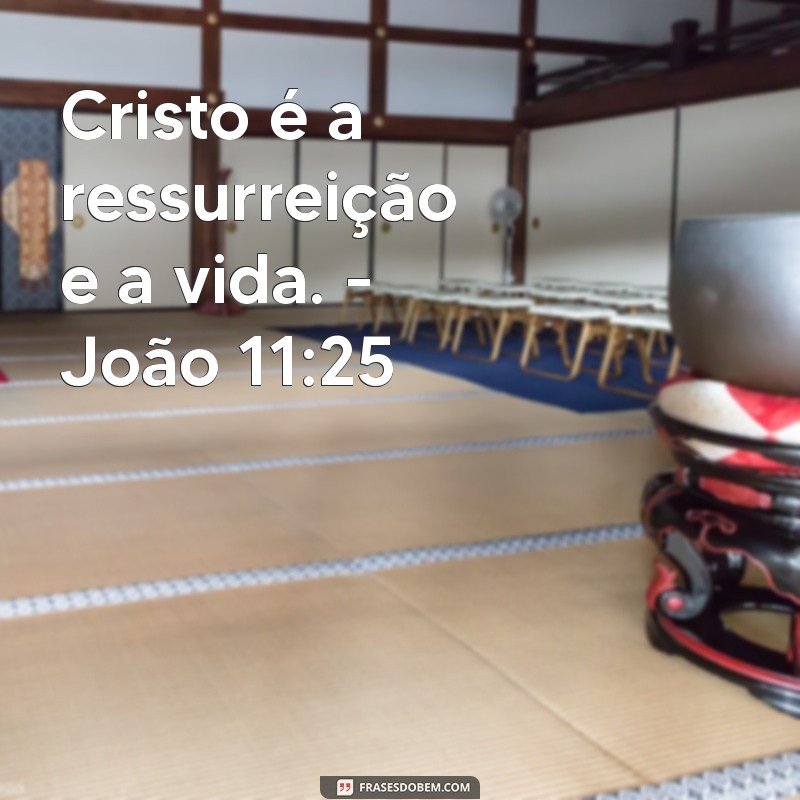 Descubra o Versículo que Revela: Jesus é Vida e Esperança 