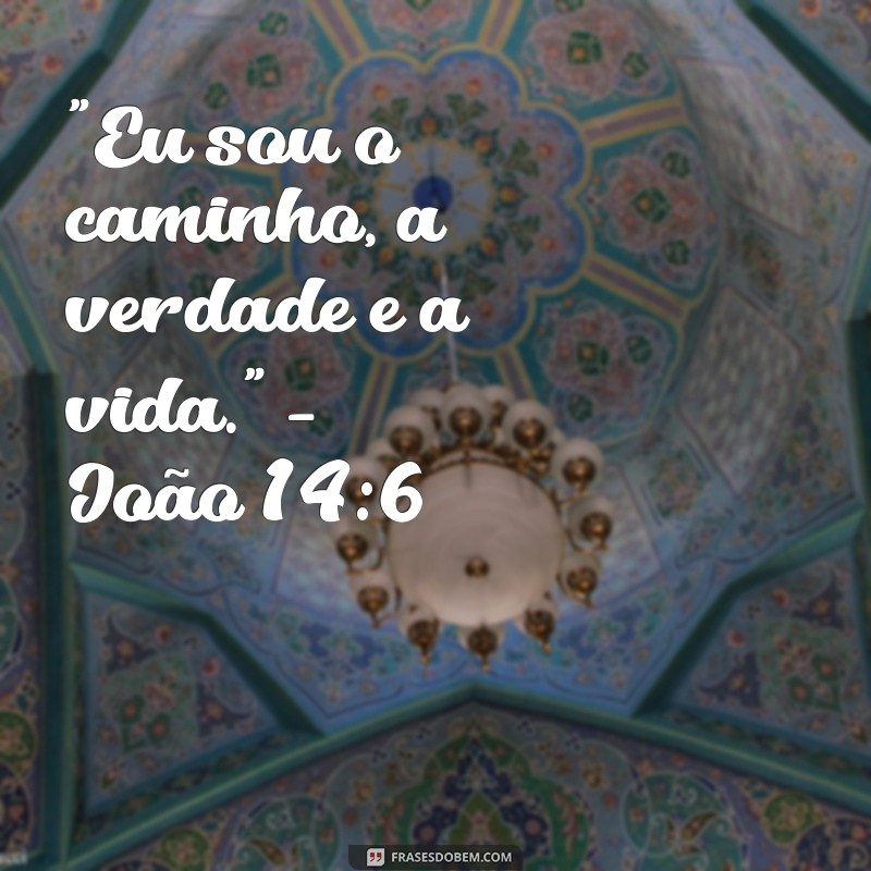 jesus é vida versículo 