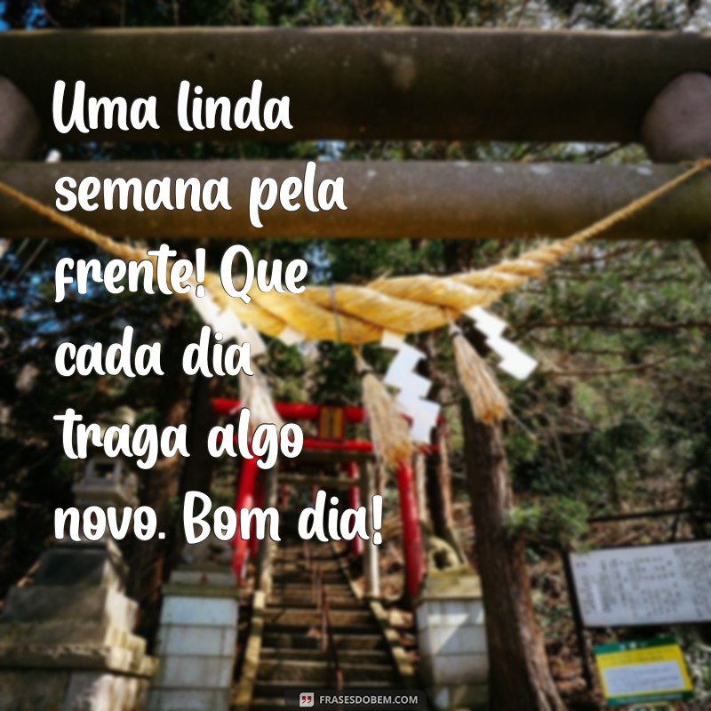 26 Frases Inspiradoras para Começar a Semana com um Bom Dia 