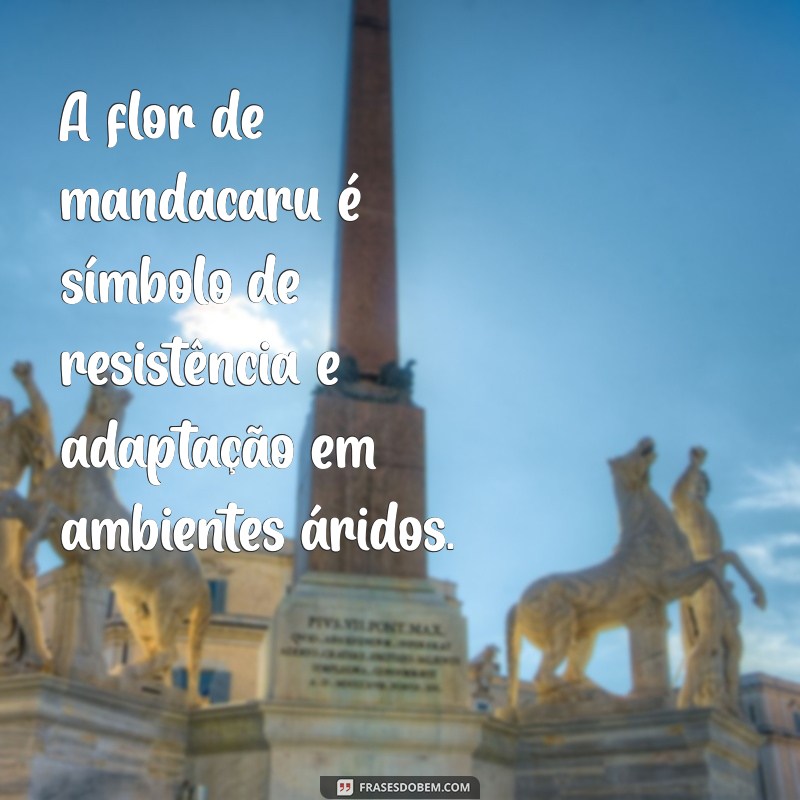 flor de mandacaru significado A flor de mandacaru é símbolo de resistência e adaptação em ambientes áridos.