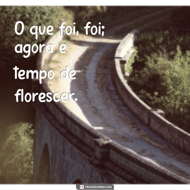 Frases Inspiradoras para Celebrar Ciclos Encerrados e Novos Começos 