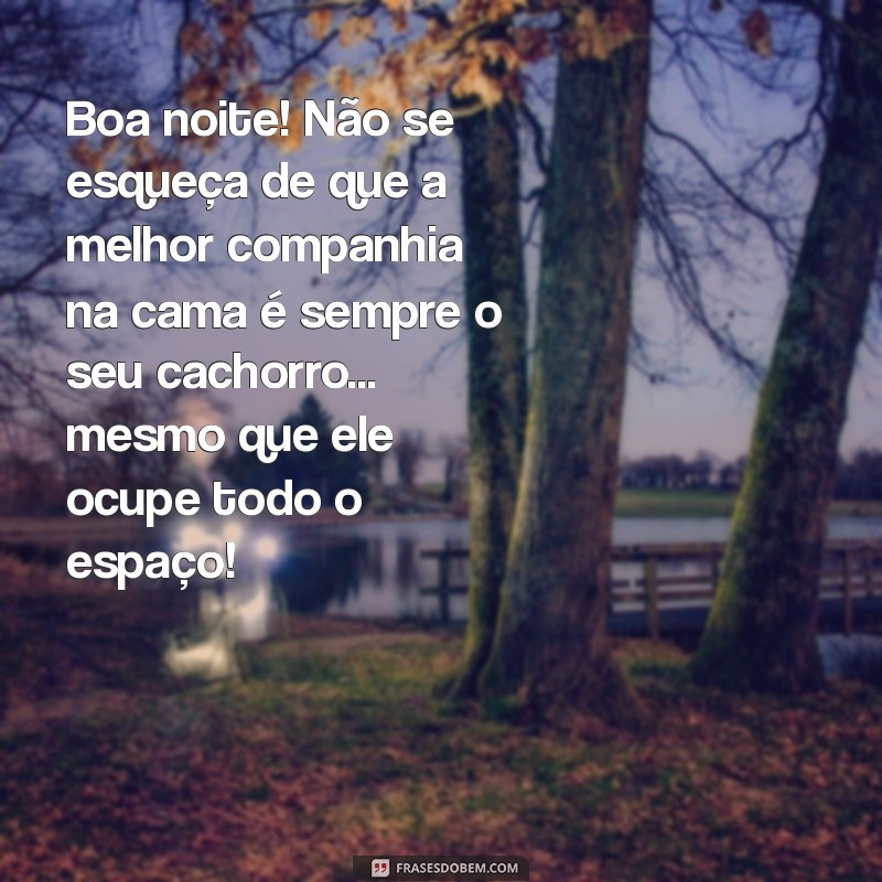 Boa Noite: Frases Engraçadas para Acompanhar Seu Cachorro 