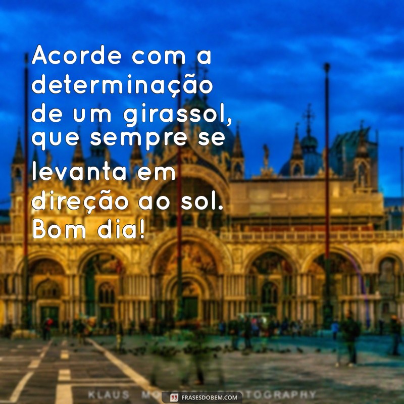 Mensagens Inspiradoras de Bom Dia com Girassóis: Espalhe Alegria e Otimismo 