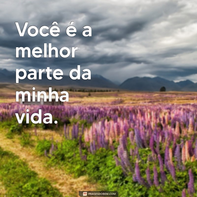 As Melhores Frases de Amor para Transformar Sua Bio do WhatsApp 