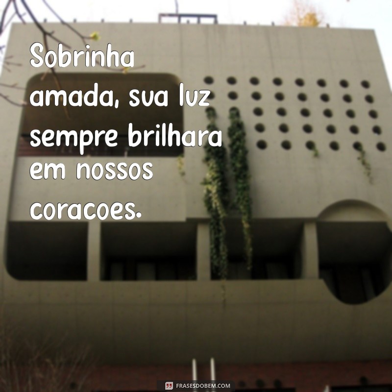 Como Confortar em Momentos de Luto: Mensagens para Sobrinha 