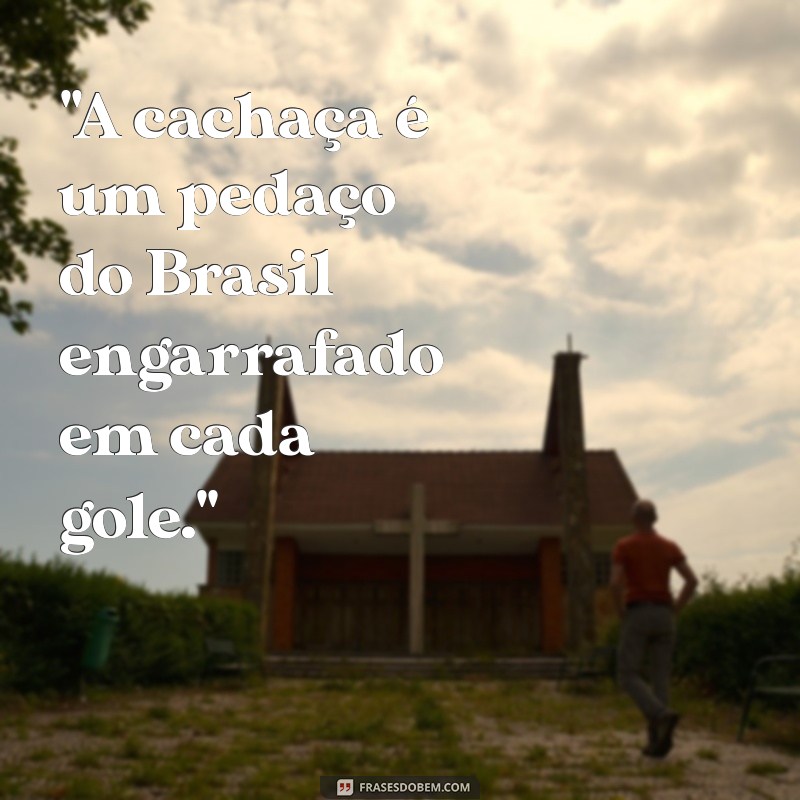 frases sobre cachaça 