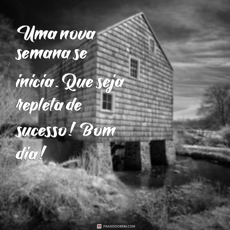 Como Começar a Semana com Energias Renovadas: Bom Dia, Segunda-Feira! 