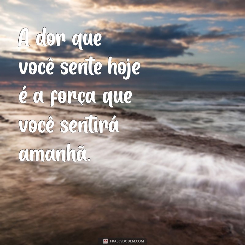 frases de consolo e motivação A dor que você sente hoje é a força que você sentirá amanhã.