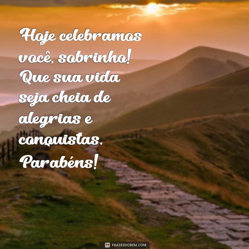 Como Celebrar o Aniversário do Seu Sobrinho Querido: Dicas e Ideias Incríveis 