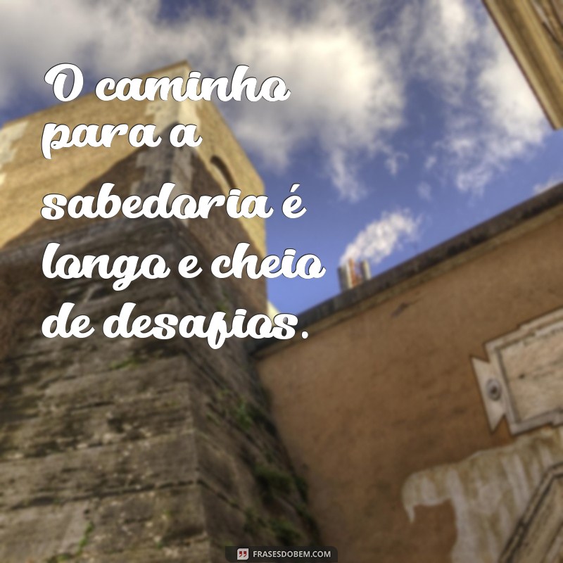 frases oraculo de delfos O caminho para a sabedoria é longo e cheio de desafios.