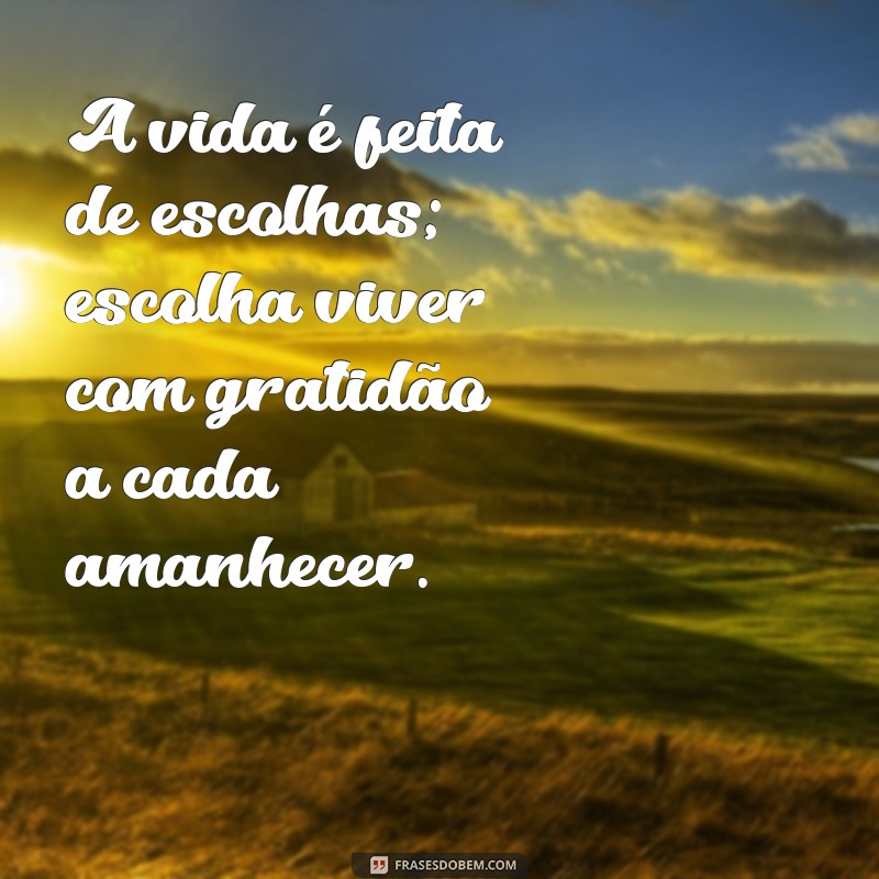 mensagem de saber viver A vida é feita de escolhas; escolha viver com gratidão a cada amanhecer.