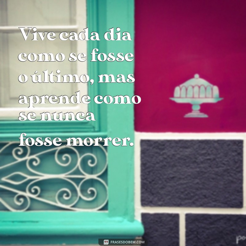 30tei frases Vive cada dia como se fosse o último, mas aprende como se nunca fosse morrer.