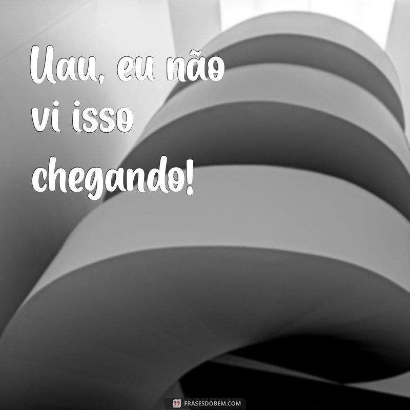 frases de surpresa Uau, eu não vi isso chegando!