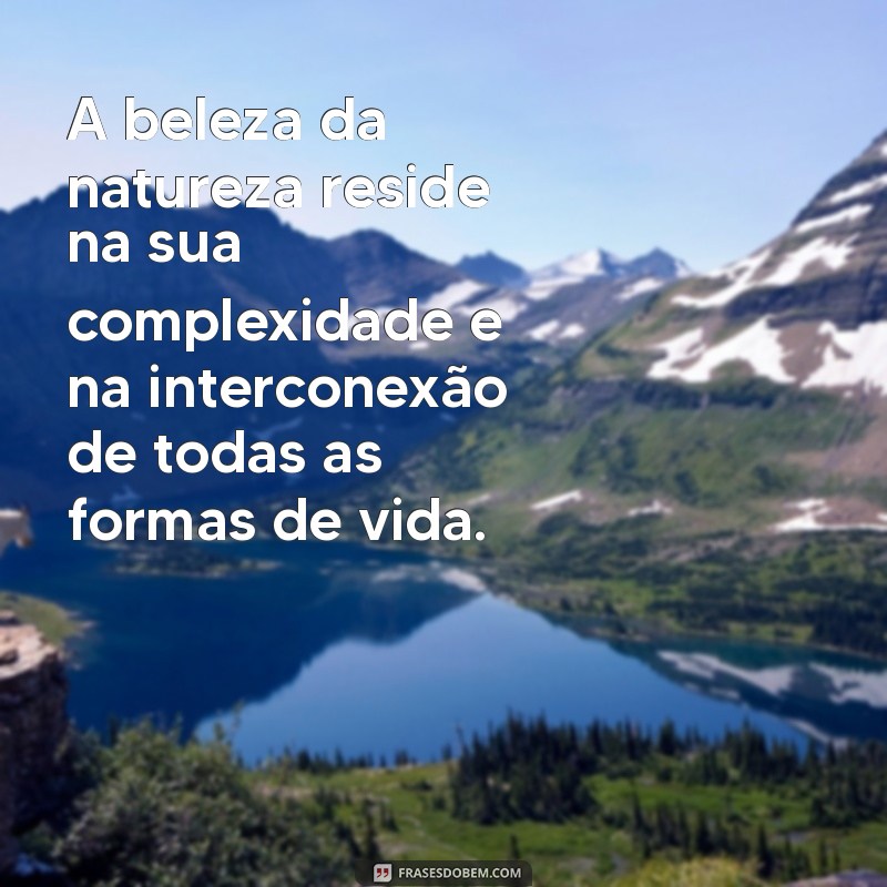 Descubra as Melhores Frases de Darwin que Transformaram a Ciência e a Filosofia 