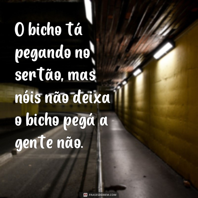 Descubra as melhores frases de matuto para se inspirar e se divertir! 