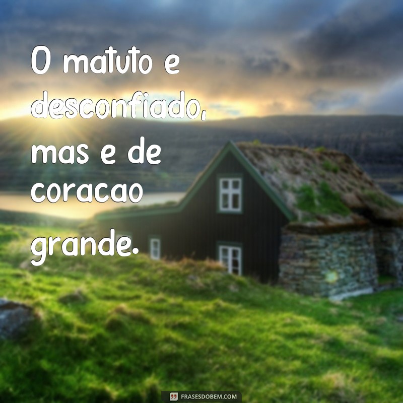 Descubra as melhores frases de matuto para se inspirar e se divertir! 