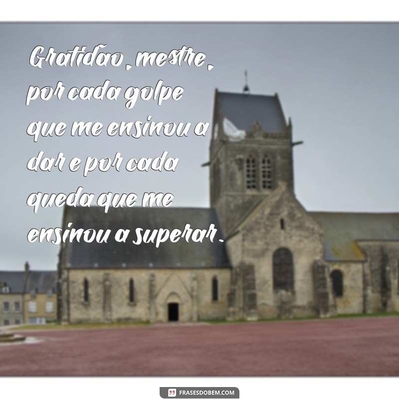 agradecimento ao mestre de artes marciais Gratidão, mestre, por cada golpe que me ensinou a dar e por cada queda que me ensinou a superar.