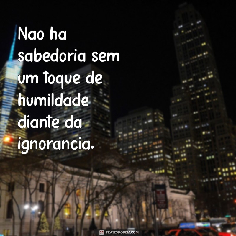 Frases Impactantes sobre Ignorância: Reflexões para Aumentar sua Consciência 