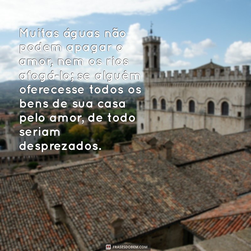 cânticos 8:7 Muitas águas não podem apagar o amor, nem os rios afogá-lo; se alguém oferecesse todos os bens de sua casa pelo amor, de todo seriam desprezados.