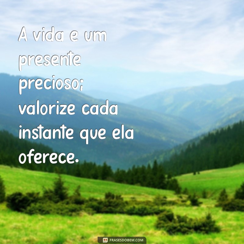 uma frases de valorização à vida A vida é um presente precioso; valorize cada instante que ela oferece.