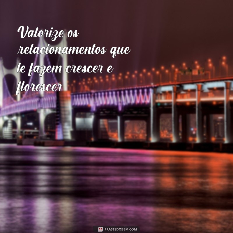 21 Frases Inspiradoras que Valorizam a Vida e Elevam sua Perspectiva 