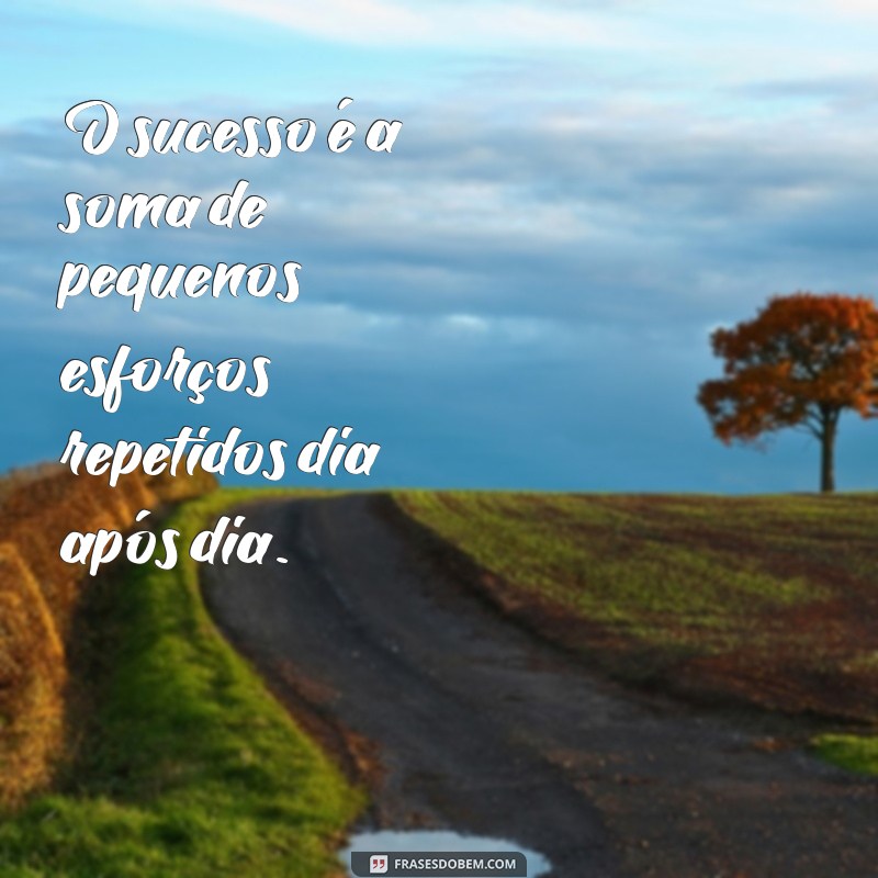 Frases Motivacionais para Emagrecimento: Inspire-se e Alcance Seus Objetivos 