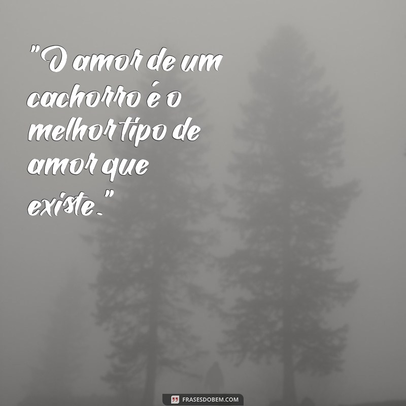 amor cachorro frases 