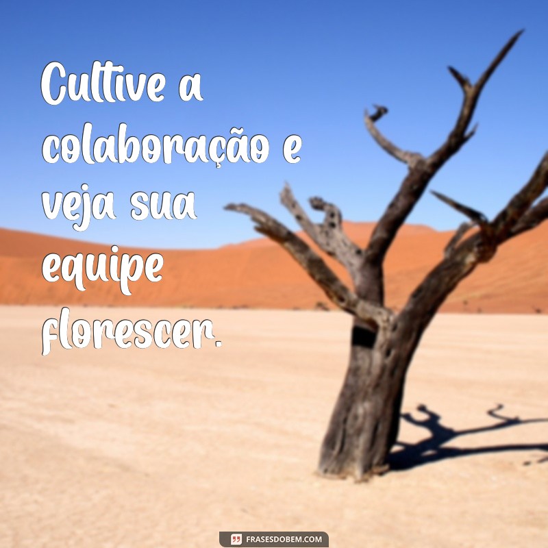 Frases Inspiradoras para Supervisores: Motive e Engaje sua Equipe 