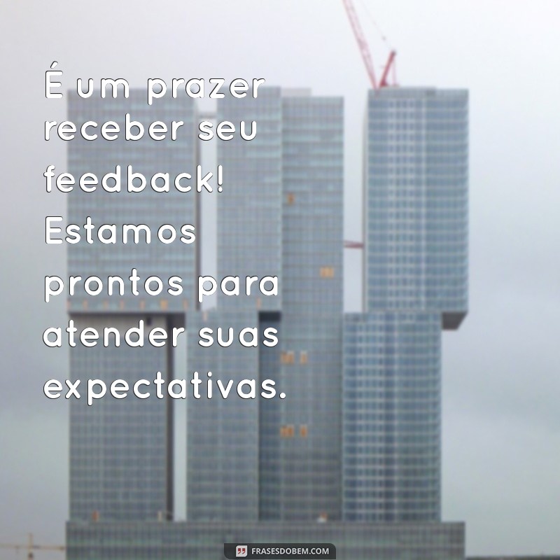 Como Criar Mensagens de Feedback Eficazes para Encantar Seus Clientes 