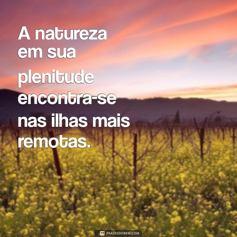 Descubra as Maravilhas de uma Ilha Isolada: Um Refúgio de Tranquilidade e Beleza Natural 