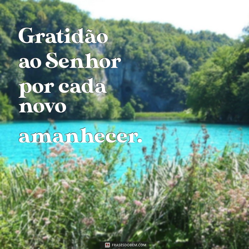 gratidão ao senhor Gratidão ao Senhor por cada novo amanhecer.