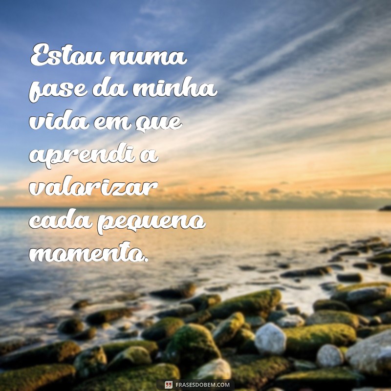 frases estou numa fase da minha vida Estou numa fase da minha vida em que aprendi a valorizar cada pequeno momento.